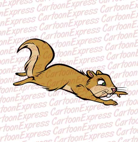 squirrel